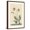 Brown Frame, variant on Art.com Water Frog Art Print by Mark Catesby, 24" x 36"