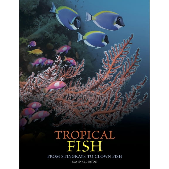 Animals in Photographs Tropical Fish: From Stingrays to Clown Fish, (Hardcover)