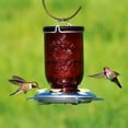 thumbnail image 3 of Perky-Pet Red Mason Jar Glass Hummingbird Feeder, 3 of 3
