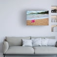 thumbnail image 3 of Dennis Frates 'Beach Treasures 4' Canvas Art, 3 of 3