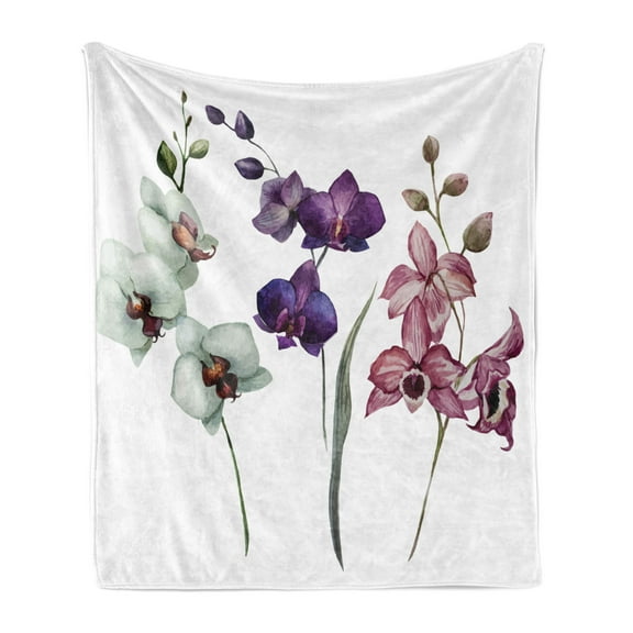 Watercolor Soft Flannel Fleece Throw Blanket, Orchids 3 Colors Blooming Flourishing Environment Theme, Cozy Plush for Indoor and Outdoor Use, 50" x 60", Cream Violet Dried Rose, by Ambesonne