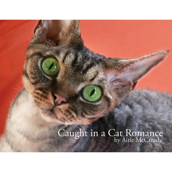 Caught in a Cat Romance, (Paperback)