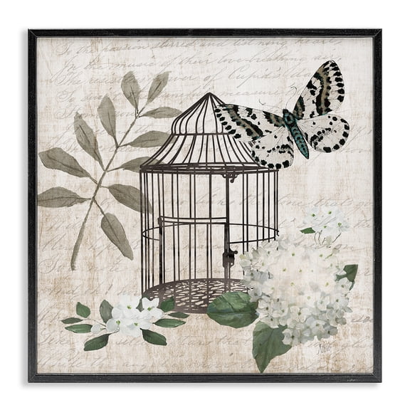 Stupell Industries Cottage Vintage Menagerie Butterfly Florals Black Framed Giclee Art, 12 x 12, by Nan