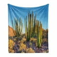 thumbnail image 1 of Cactus Soft Flannel Fleece Blanket, Photo of Nature Desert Cactus with Spikes and Mountains Open Clear Sky Image Print, Cozy Plush for Indoor and Outdoor Use, 50" x 70", Multicolor, by Ambesonne, 1 of 6