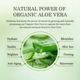 thumbnail image 5 of Aloderma Firming Cream for Face and Neck with 62% Organic Aloe Vera - Firming Face Cream with Hyaluronic Acid & Carnosine - Natural Renewing Aloe Face Cream - Instantly Hydrate & Plump Skin, 1.7oz, 5 of 9