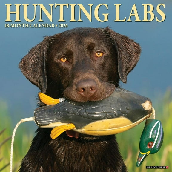 Willow Creek Press, Lab Hunting 2026 Wall Calendar, 12'' X 12'', 18-Month Calendar with Stapled Binding