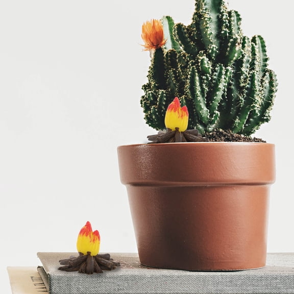 PTOOTP 10-Pack Assorted Color Resin Fire Pit Decor Flame Packets for Tabletop Fire Bowl and Outdoor Accessories