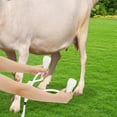 thumbnail image 4 of Pulsation Cow Milking Machine, Electric Cow Milker, Milking Machine with Stainless Steel Bucket, 4 of 9