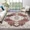 Red, variant on CAROMIO 5' x 7' Area Rug for Living Room Boho Vintage Rug Non Slip Throw Rugs Floral Bedroom Rug, Blue