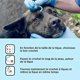 thumbnail image 2 of Quitagarrapatas y removedor de garrapatas para perros: 3 ganchos para garrapatas para gatos y humanos, removedor de garrapatas para garrapatas de todos los tamaños, 2 of 5