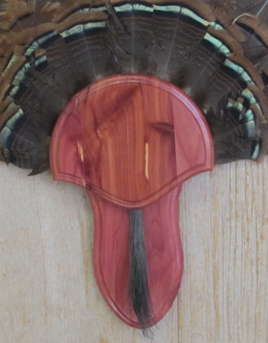 The Taxidermists' Cedar Turkey Fan Mounting Kit 02