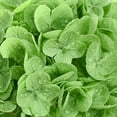 thumbnail image 6 of 4PCS Real Touch Hydrangea Artificial Flowers, 17.7" Full Faux Hydrangea Flowers Latex Fake Spring Summer Flowers for Home Party Floral Arrangements Wedding Bouquets Centerpieces Outdoor Decor, 6 of 7