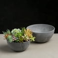 thumbnail image 2 of Root & Vessel Napa Bowl Planter, Gray, 12", 2 of 4
