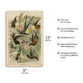 thumbnail image 2 of Exotic Humming Birds (Kolibris) - Bookplate from Brockhaus' Konversations-Lexikon Vol. 2 - Vintage Bird Illustration by G. Mütrel c.1892 - 8 x 12 inch Vintage Wood Art Sign, 2 of 4