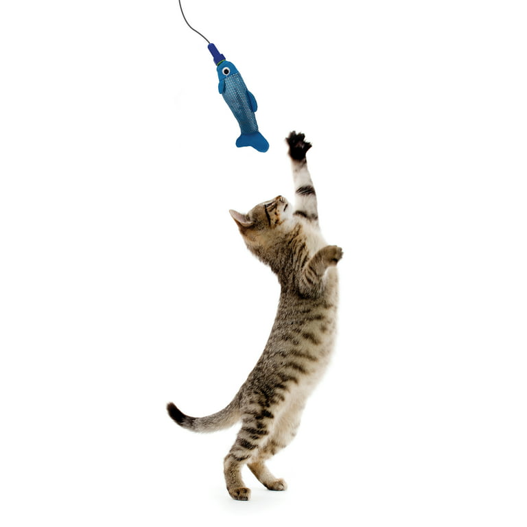 Five Below Cat fishing pole toy