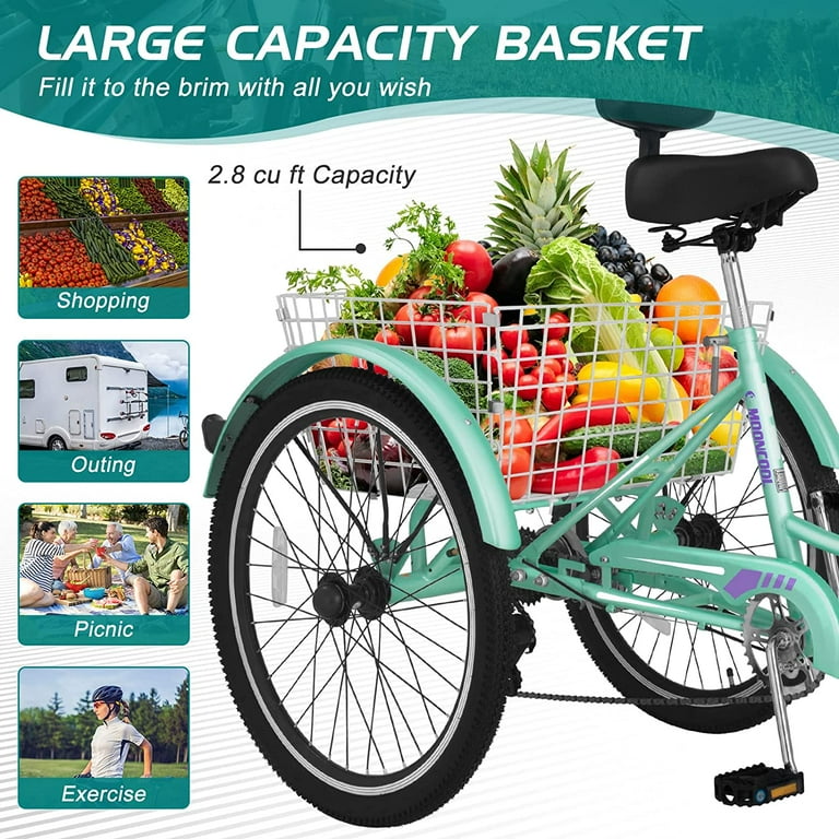 Tricycle makro 2025