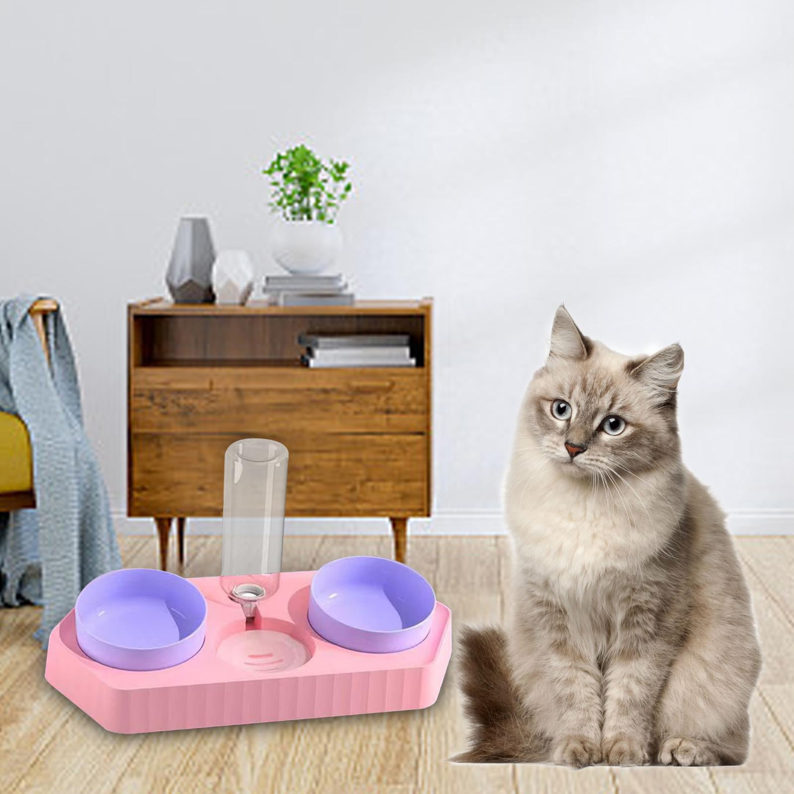Bvdfgk Dot Bowls Drink Fountain Cat Food Dishes Pet Feeding Station Detachable Non Slip three pink