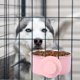 thumbnail image 4 of unbranded Comedero Para Perros En Inoxidable Rosa Antiderrames Con Doble Desmontable, 4 of 6