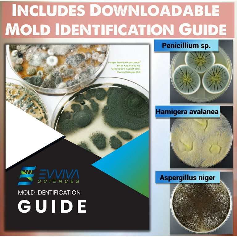 Mold Test Kit