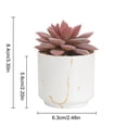 thumbnail image 3 of maskred 4pack/lot Exquisite Crafted Succulent Plant With Good Hand Feeling - Realistic Appearance Non-toxic ES1438-9, 3 of 6