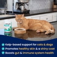 thumbnail image 2 of Suplemento Solid Gold SeaMeal a base de algas marinas para perros y gatos, 454 g, 2 of 9