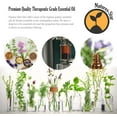 thumbnail image 2 of Natures-Star - Peppermint Essential Oil (Bulk 16oz) Therapeutic Grade for Aromatherapy, Diffuser, Soap Making, Candles, 2 of 7