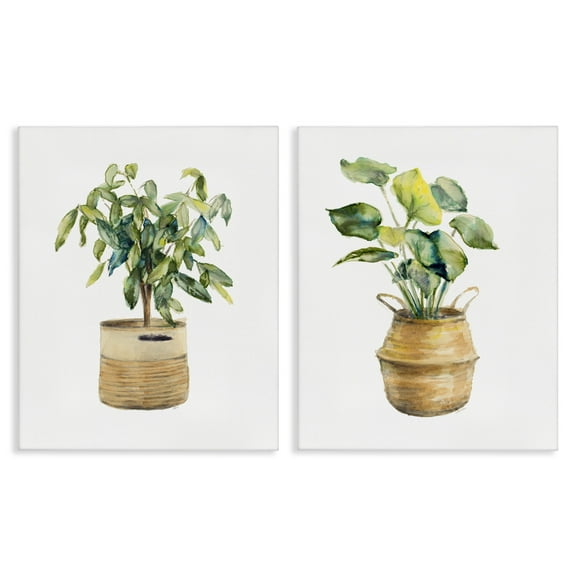 Stupell Industries Lush Houseplants in Wicker Pots Plants & Flowers Painting Wrapped Canvas Art Print Wall Art, 16 x 20, Set of 2