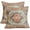 Blue Orange Carpet Print, variant on Western Cow Print Pillow Covers 18x18 Set of 2 Black White Brown Cowhide Pattern Decorative Throw Pillows Outdoor Rustic Animal Skin PillowCase Farmhouse Linen Cushion Case Decor for Sofa Couch Bed