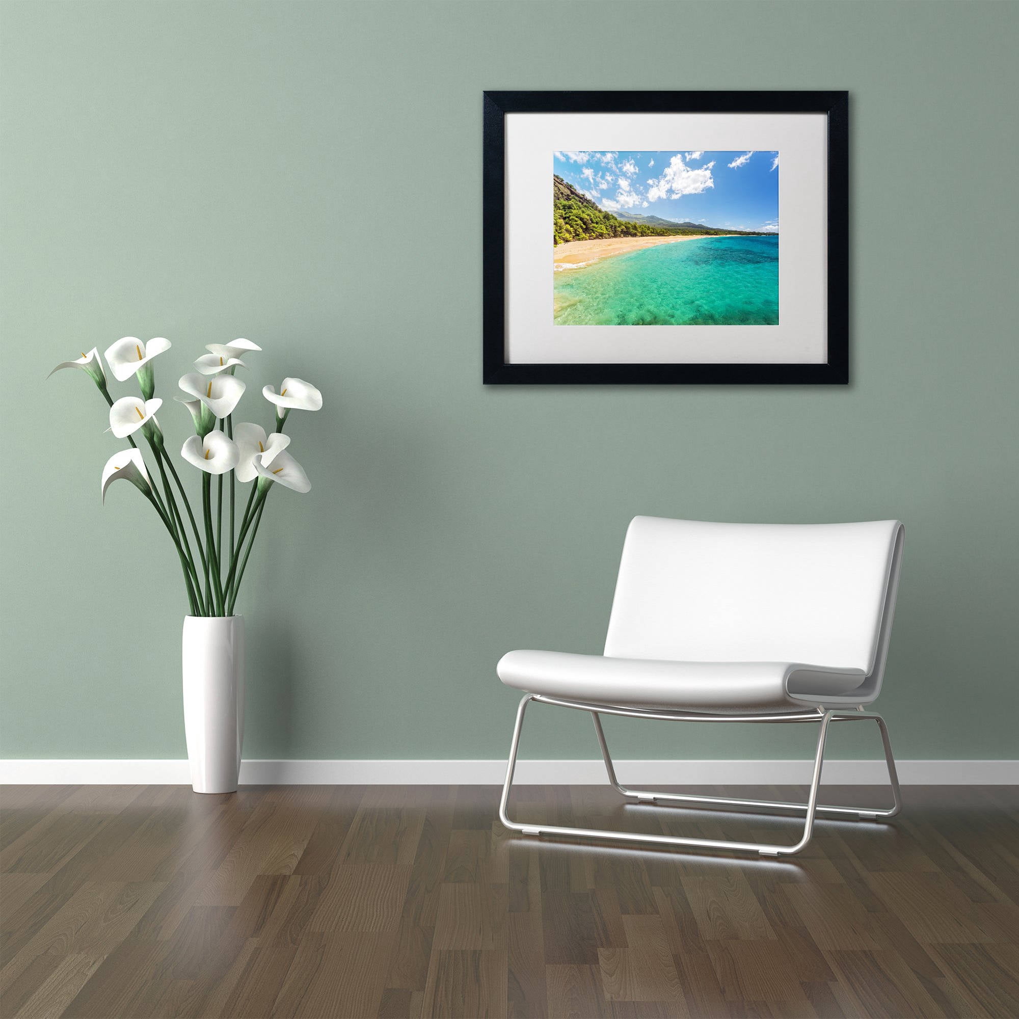 Trademark Fine Art 'Makena Beach Maui' Canvas Art by Pierre Leclerc, White Matte, Black Frame