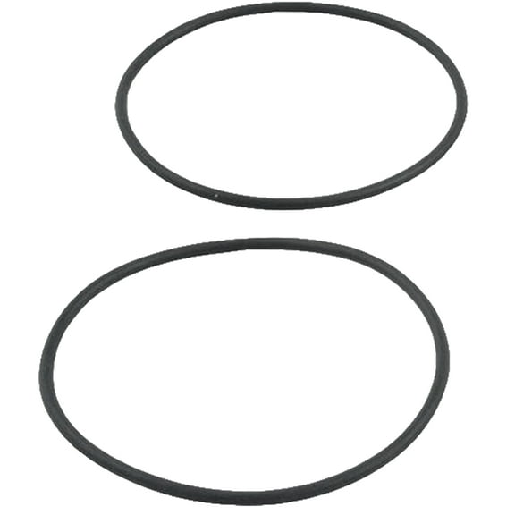 Raypack 006724F O-Ring Kit for 2-Inch Connector