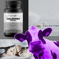 thumbnail image 3 of Calostro Bovino 60 Cápsulas 1000 Mg Suplemento Sin Sabor Sin Sabor, 3 of 7
