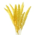 thumbnail image 1 of GROWTH TANK 15 Pieces Artificial Dried Pampas Grass Bunch Flower Arrangement Phragmites Reed Yellow, 1 of 8