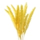 thumbnail image 2 of 15 flores de caña de fragmitas de hierba seca para accesorios de fotografía de de inauguración de , AMARILLO perfecl hierba de pampa seca, 2 of 8