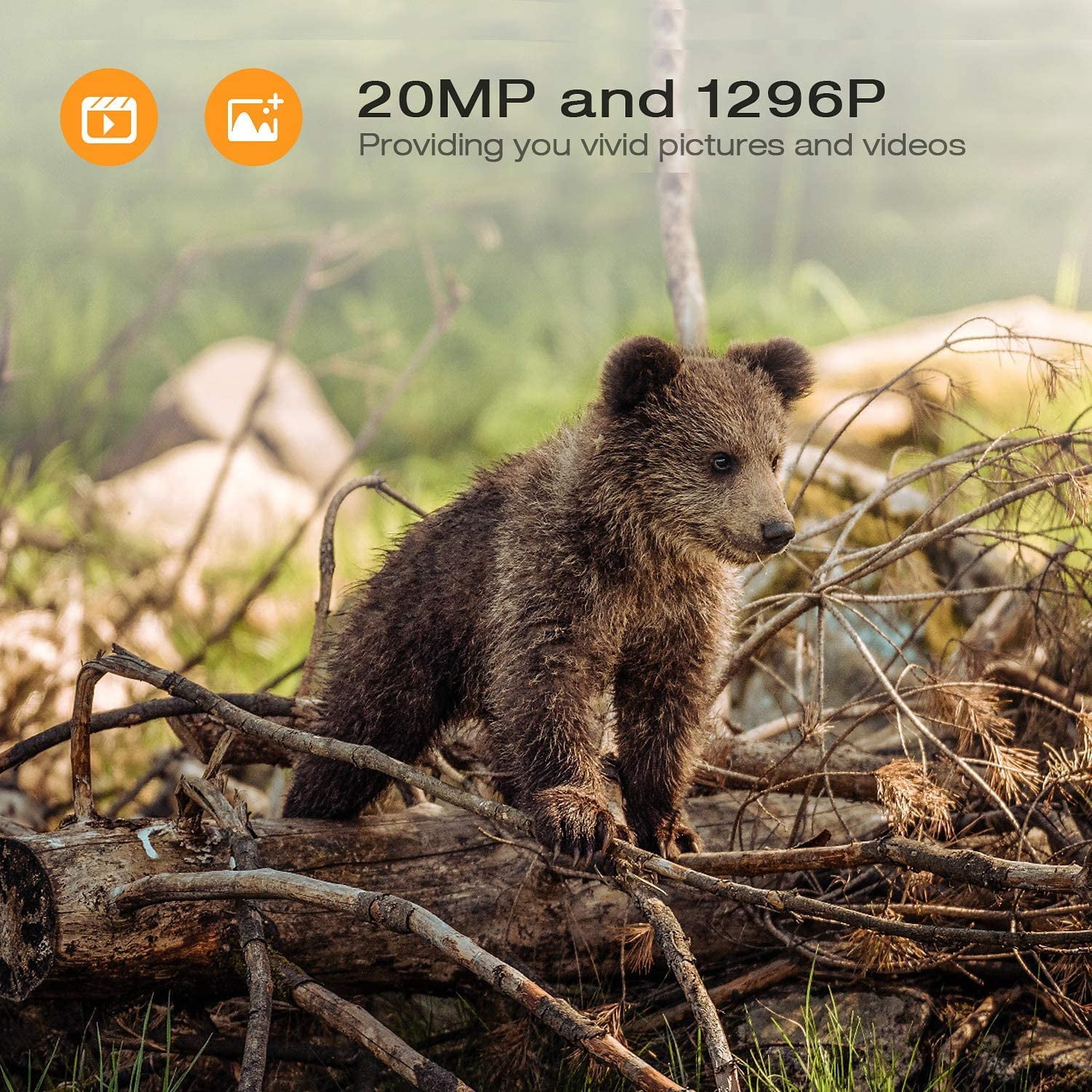 CAMPARK WiFi Trail Camera with SD Card 1296P 20MP Bluetooth Game Hunting Camera Outdoor Deer Trail Cam with 850nm Low-Glow Infrared Night Vision Waterproof 2.0" LCD Screen Motion Activated Scouting