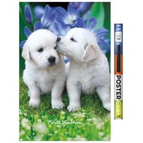 Keith Kimberlin - White Golden Retriever Puppies Wall Poster, 22.375" x 34"