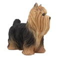 thumbnail image 3 of Long Haired Yorkie Statue 11.5"L Pet Pal Yorkshire Terrier Dog Figurine Decor, 3 of 11