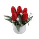 thumbnail image 1 of Mini tulipanes artificiales en maceta, flores falsas tipo bonsái, arreglo floral artificial realista para decoración de interiores, plástico, para escritorio, mesa o como detalle decorativo, 1 of 6