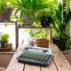 thumbnail image 5 of 80 Cells Seed Starter Tray Kit, Humidity Dome Plant Seedling Starter Kit, 5 of 5