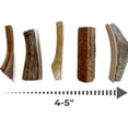 thumbnail image 3 of K9warehouse Premium Natural Elk Antlers for Dogs Chew Toy 4-5 Inches Small Whole, 3 of 9