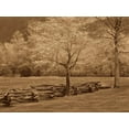 thumbnail image 2 of Caro, Wendy 14x12 White Modern Wood Framed Museum Art Print Titled - Smokies Fence, 2 of 4