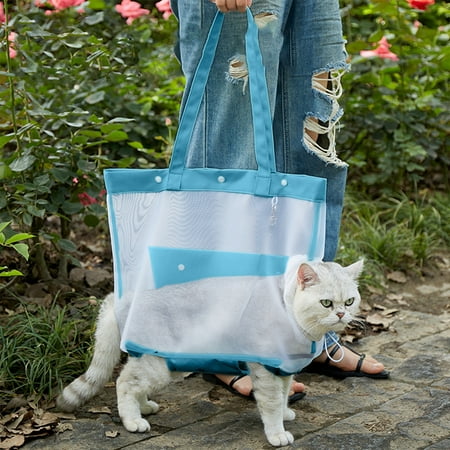 Hovmgk Transparent Nylon Mesh Pet Carrier Foldable Breathable Cat Travel Bag Handheld with Traction Rope for Safety Lightweight & Portable Sky Blue/Gray/Beige/Mint Green