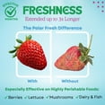 thumbnail image 4 of Polar Fresh - Refrigerator Odor and Moisture Absorber - Deodorizer - Ethylene Gas Absorber - Produce Preserver - Two Way Humidity Control - Fridge Efficiency Booster - Natural Mineral Filter - 3 Pack, 4 of 5