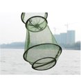 thumbnail image 4 of EeaseMX Red de pesca redonda plegable para peces y camarones, red de pesca plegable, 4 of 7
