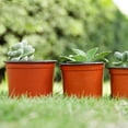 thumbnail image 5 of SHISUYAN 50pcs Pots Flower Nursery Pots Starting Pots Containers for 12cm, 5 of 5