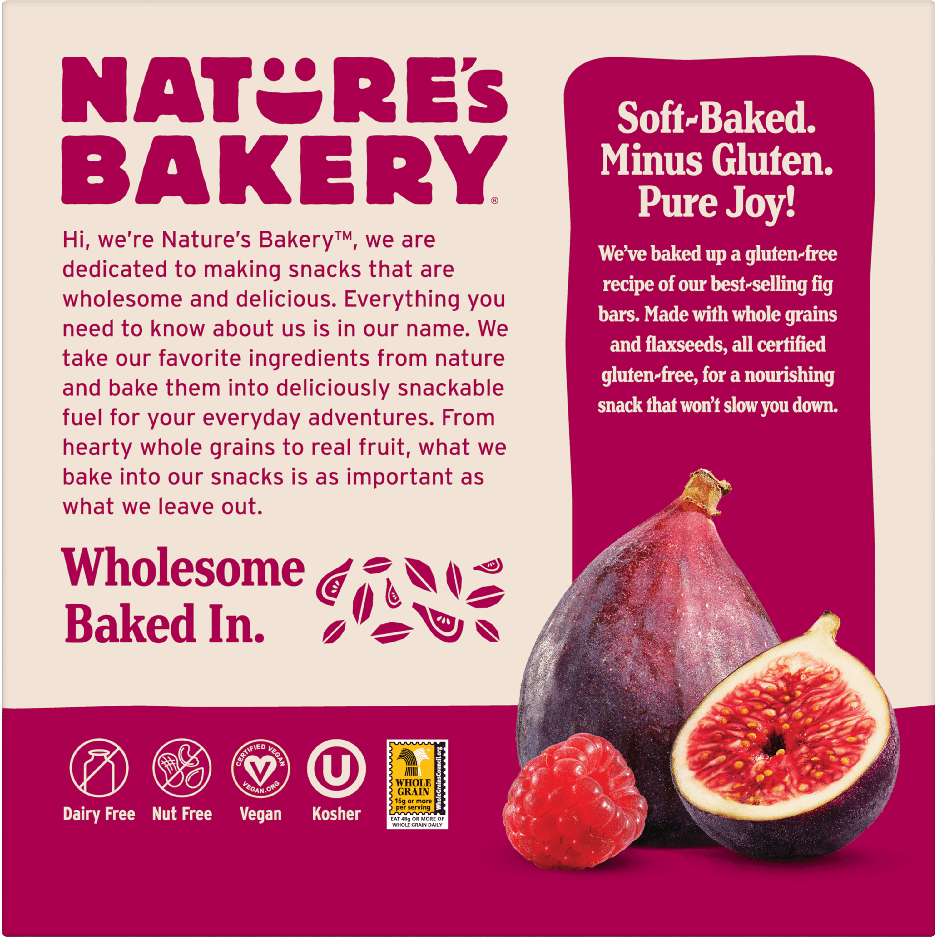 Nature's Bakery Gluten Free Raspberry, 2 oz Snack Bars (36 Ct), Vegan, Non-GMO, Plant-Based