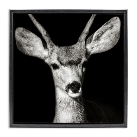 Stupell Industries Gazing Deer Portrait Animals & Insects Photography Black Floater Framed Canvas Art Print Wall Art 25 x 25