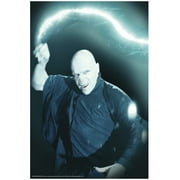 Harry Potter Voldemort Window Cover