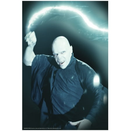 Harry Potter Voldemort Window Cover