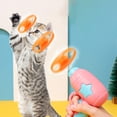 thumbnail image 3 of Cat Fetch Toy Set Funny Plastic Cat Track Toy Pet Interactive Toy for Training, 3 of 10