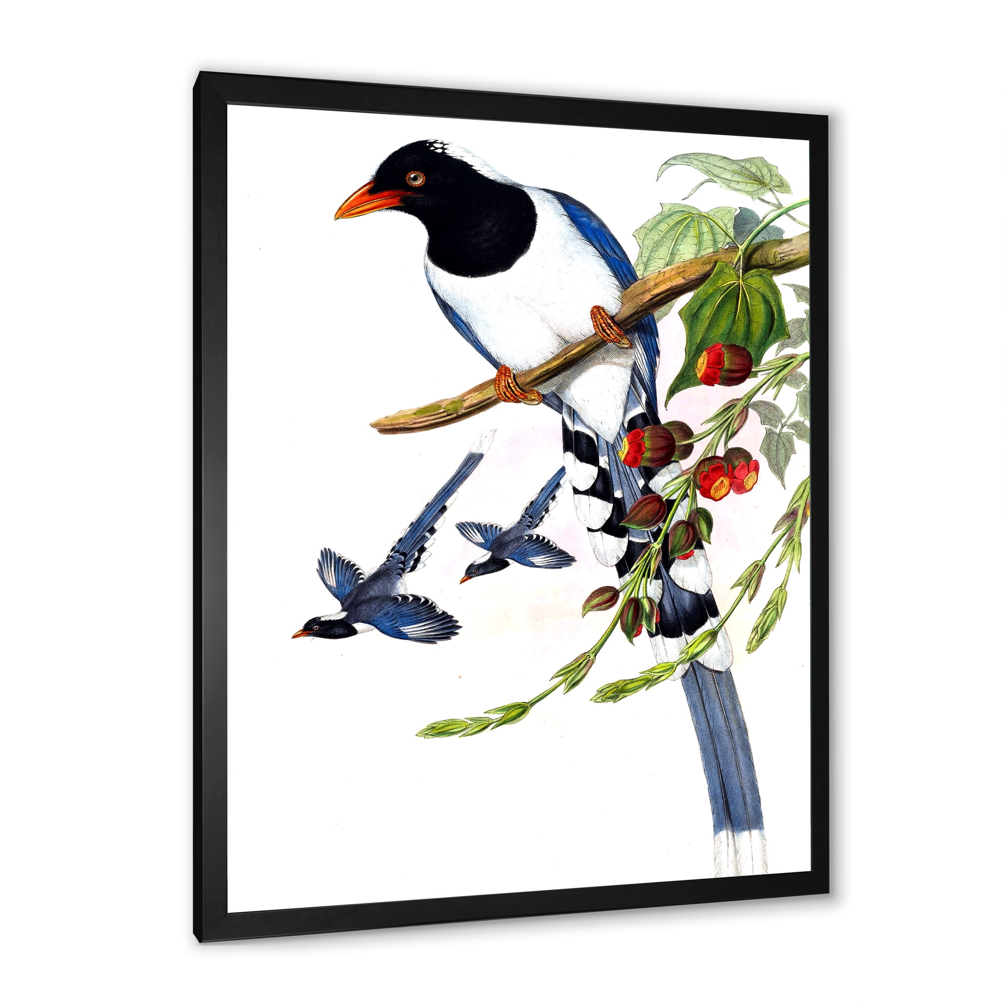 Designart 'Vintage Countryside Birds On Branch IV' Farmhouse Framed Art Print